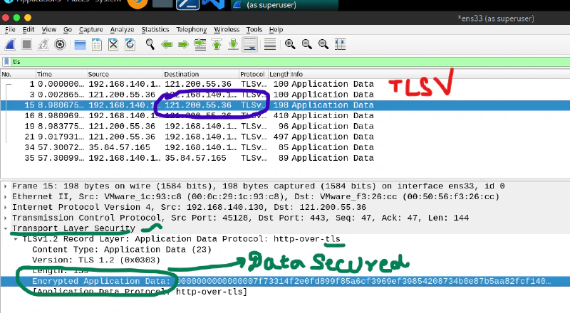 https-data-packet.png